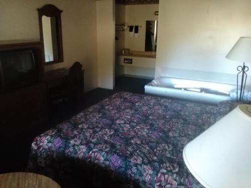 Razorback Lodge Юрека Спрингс Екстериор снимка